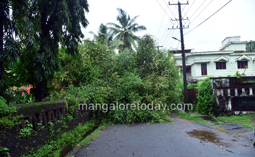 Heavy rains-